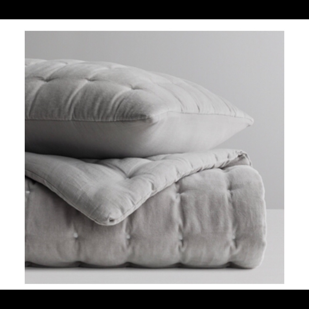 Restoration Hardware Velvet Quilt
